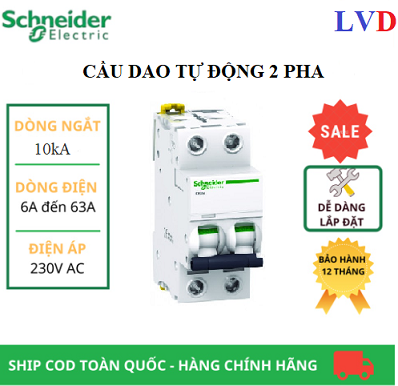 Aptomat MCB 2 pha Schneider